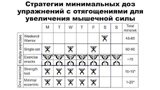 Стратегии минимальных доз упражнений с отягощениями для увеличения мышечной силы