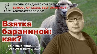 Отбился @AndreyVPanyushkin  от взятки ГАИшнику за нарушения ПДД #advocatefree #advocatefreecom