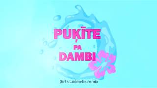 Puķīte pa dambi (Gir4a remix)