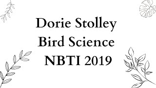 Dorie Stolley 2019