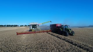 2x Claas Lexion 770 Gerste Dreschen 2018 Teil 1/2