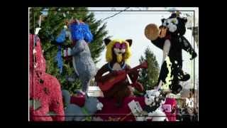 Vidéo Carnaval de Saubusse Landes 40  Mars 2013