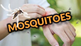 Mosquitoes: 24x7 Prevention with In2Care