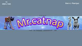 Sự kiện trực tiếp của Mr.catnap