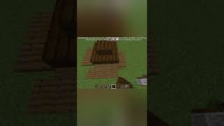 Minecraft the smallest house