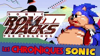 LES ROM HACKS SONIC 2 - LES CHRONIQUES SAUNIQUES #23 - PuNkY