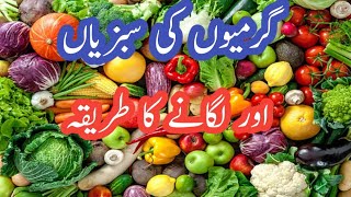 How to grow vegetable summer season at home and fields/  سبزیاں لگانے کا طریقہ /Murad ali rehmani