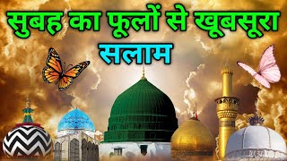 Subhan ALLAH ⭐️  सुबह शहद से मीठा सलाम ⭐️ Salato Salam 🌟 मुस्तफ़ा ﷺ जान-ए-रहमत सलाम 🌟 episode 72