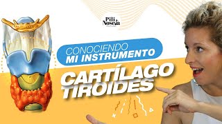 Conociendo nuestro instrumento - El cartílago tiroides