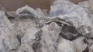 Västerhavsveckan - Havsverkstan