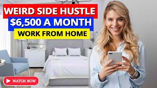 US$6,500 A Month From This Weird Side Hustle: Master This Unique Work From Home Opportunity