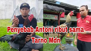 Semakin panas, antoni dan Tarno mdn saling balas komentar