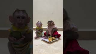 Smart Family Monkey Linda Max