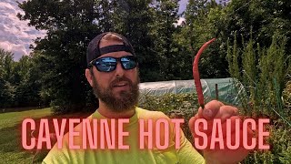 Making Cayenne HOT SAUCE - Easy Recipe Anyone Can Follow