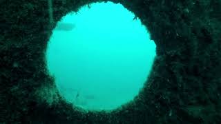 Dive Guernsey - Captain Niko - 2-6-18