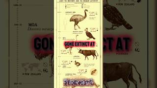 Extinct species resurgence 🫣   #podcast #joerogan #shorts