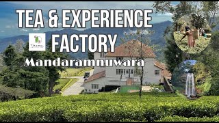 Tea & Experience Factory | Mandaramnuwara | Thema Collection | Hotel Review | Vlog 18