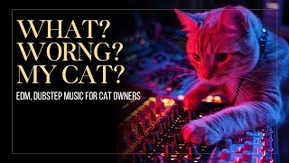 Ah! WHAT IS WRONG WITH MY CAT!? Song for All Cat Owners in EDM Dubstep style