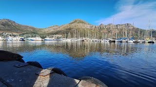 Houtbay Harbor Tour| Cape Town| South Africa 🇿🇦