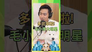 Podcast楊時修#狗狗 #可愛 #寵物狗狗精選 #聯成電腦