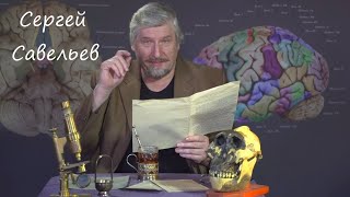 С  Савельев  Усиление долговременной памяти  Как получаются сэры и пэры