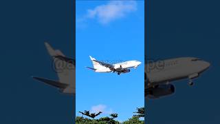 Boeing 737BBJ South African Air Force em Recife! #viralvideo #shorts #short