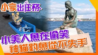 【小豪出任務】魯夫來不及報名的活動 草里漁港大咬貓垂釣魚獲量稱霸全場 @來去CHECKIN  @中天電視CtiTv