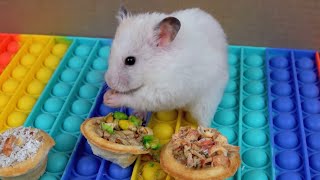 Amazing Rainbow pop it 🌈 hamster 🐹 maze