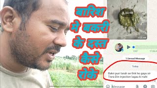 Barish Me Bakri Ke Dast Kaise Roke |Vimal Umrao