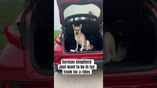 How the German react when we ask her not to be in the trunk of a car