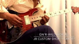 Gn'R-wild horses   JB Custom shop "parrot"