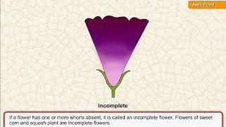 Sci5 Topic 4.3 Types of Flowers