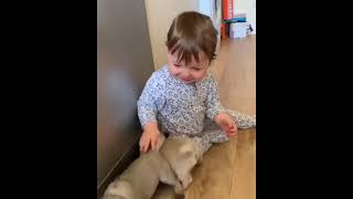 Cute Baby with puppy's 😍😍#shorts #baby #dog #babydog