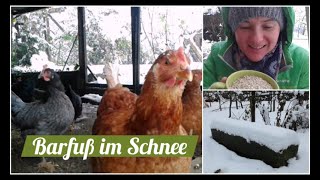 Barfuß im Schnee: Hühner und der erste Schnee | barefoot in the snow: our chickens and first snow