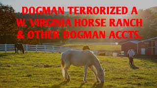 DOGMAN TERRORIZED A WEST VIRGINIA HORSE RANCH & OTHER DOGMAN ENCOUNTERS