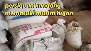 lakukan ini bila memasuki musim hujan || kandang bebek pedaging