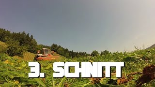 3. SCHNITT MÄHEN 2018