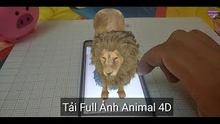 Animal 4D Full Card ❤ Pic Animal 4D Card ❤ Cải TV