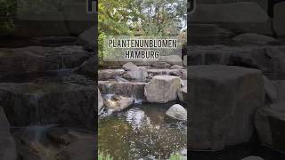 Plantenunblomen Hamburg 🌿🌷. #destination #travel #hamburg #thingstodo