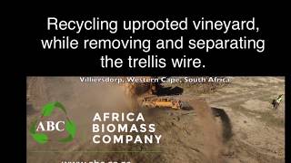 Recycling vineyards while removing and separating the trellis wire | Chipper Machines