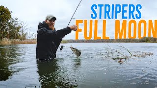 Striper Fishing in Flooded Fall Full Moon Back Bay