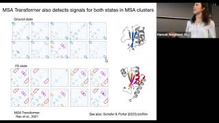 Understanding & discovering fold-switching proteins by combining AlphaFold2 & sequence clustering