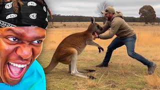 Australian Memes Down Under