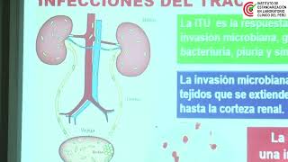 DÍA 1: UROCULTIVO Y ANTIBIOGRAMA