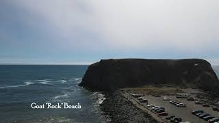 4K DJI Mavic Air 2 footage | Goat Rock Beach, Jenner, California