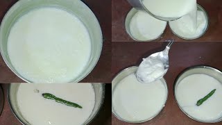 VIRAL MIRCHI 🫑DAHI HACK 😱 fake hai ya real 🧐 #viralvideo #youtube #dahi #hack #mustwatch #subscribe