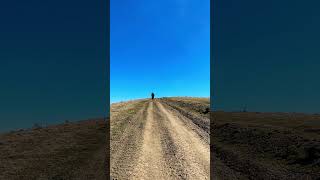 Running #run#sports#running#mountains#motivation#bukovel