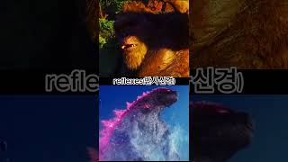 EVOLVED GODZILLA VS KONG(2021)&SKAR KING #shorts #kong #skarking #고질라