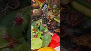 Vat Savitri Pujan | वट सावित्री पूजन  |