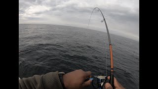 Tautog / Blackfish Jigging On 6 Man Charter NJ